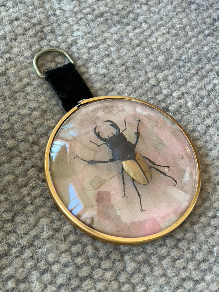 Antique Bug Art