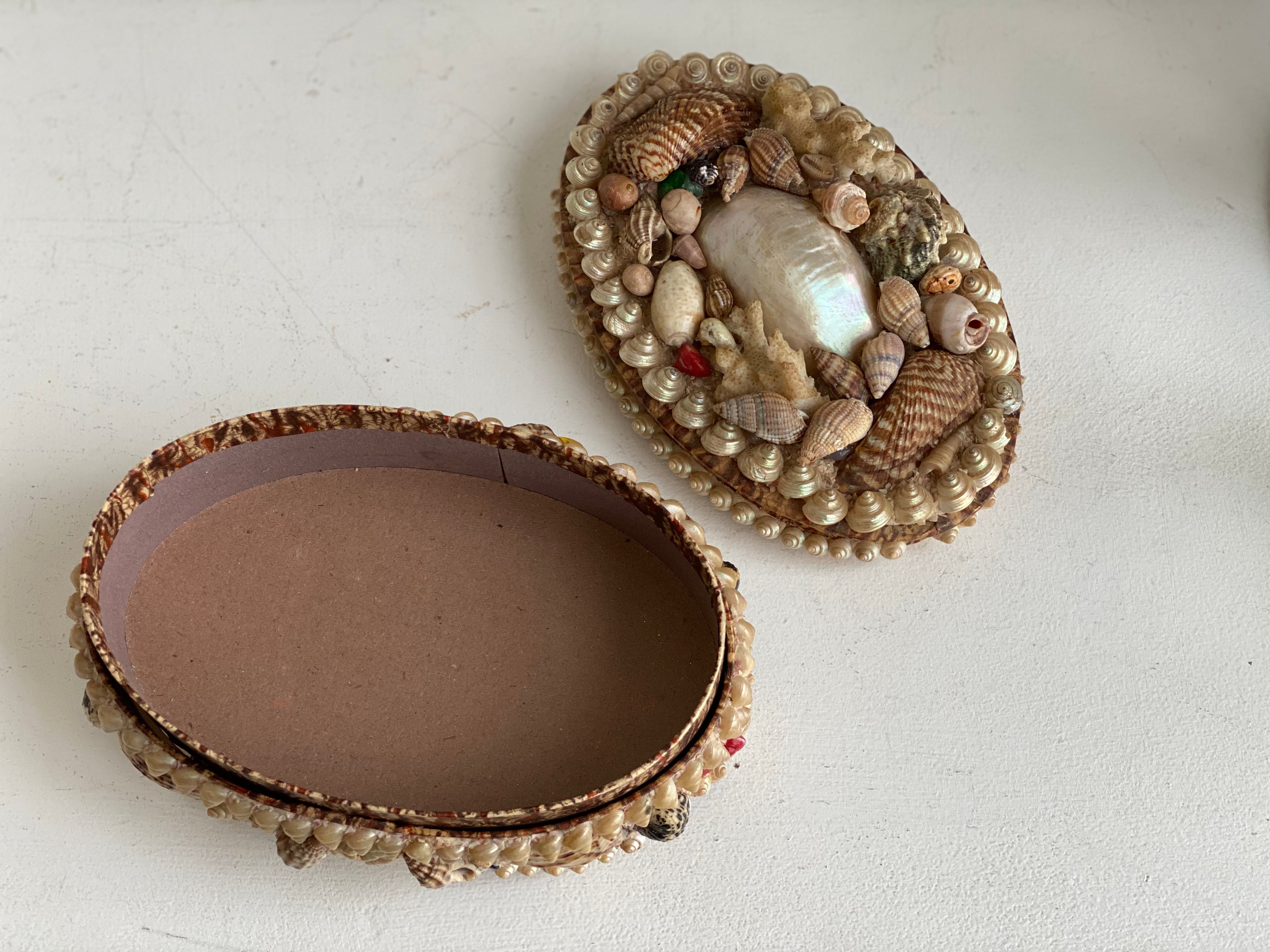 Antique Seashell Box - Grande