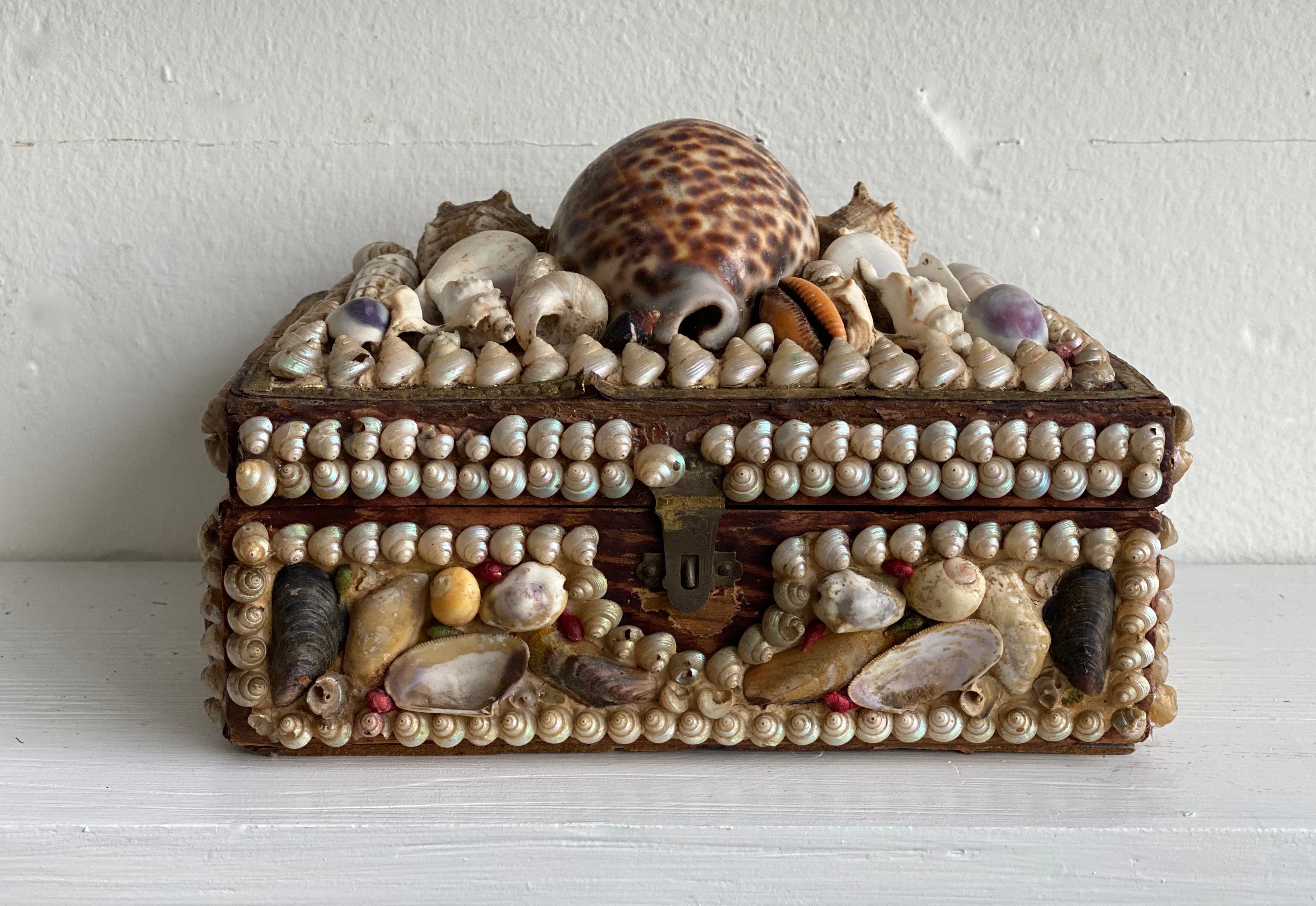 Antique Seashell Box - Grande