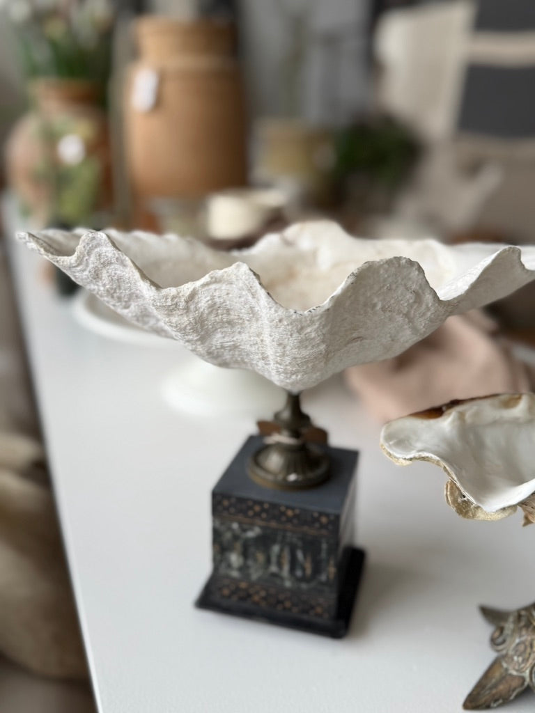 Shell on Marble Pedestal