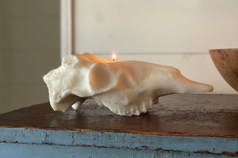 Deer Skull Candle