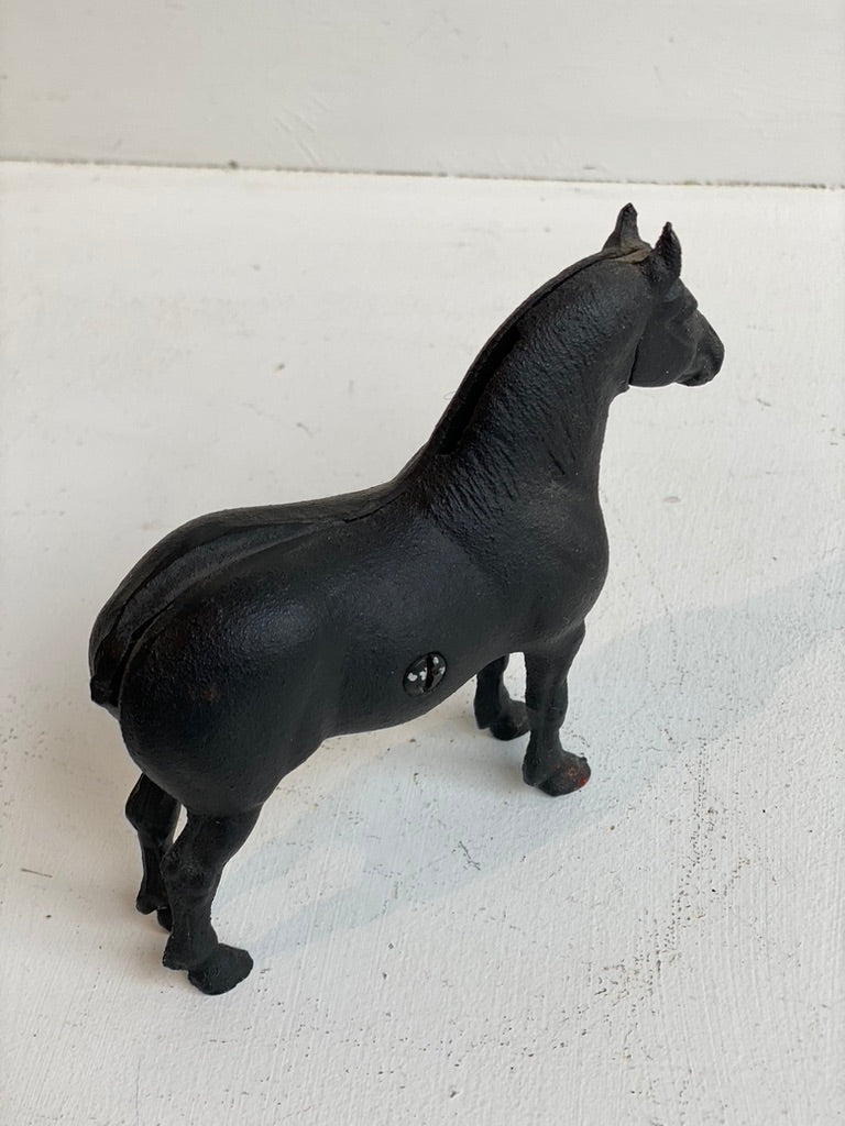 Black Stallion l #17