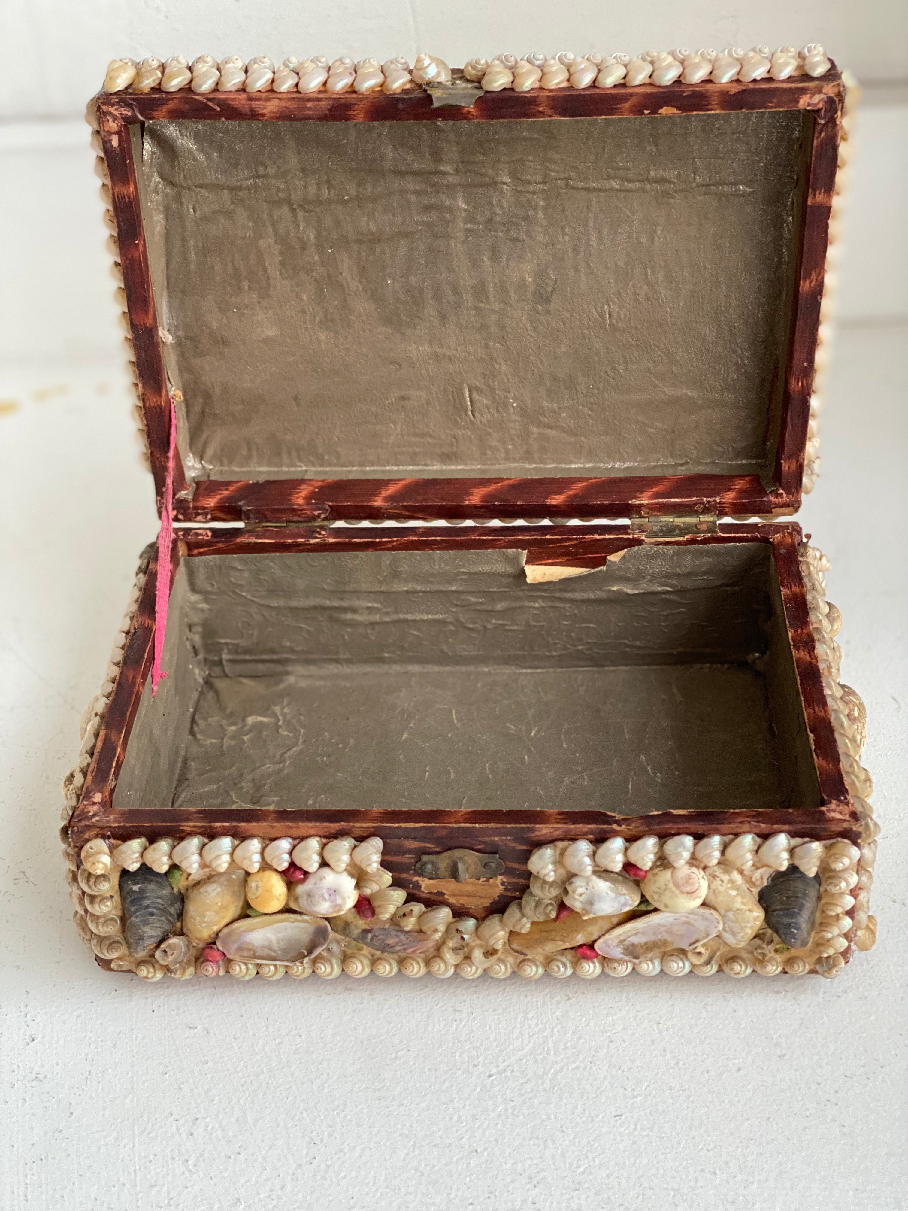 Antique Seashell Box - Grande