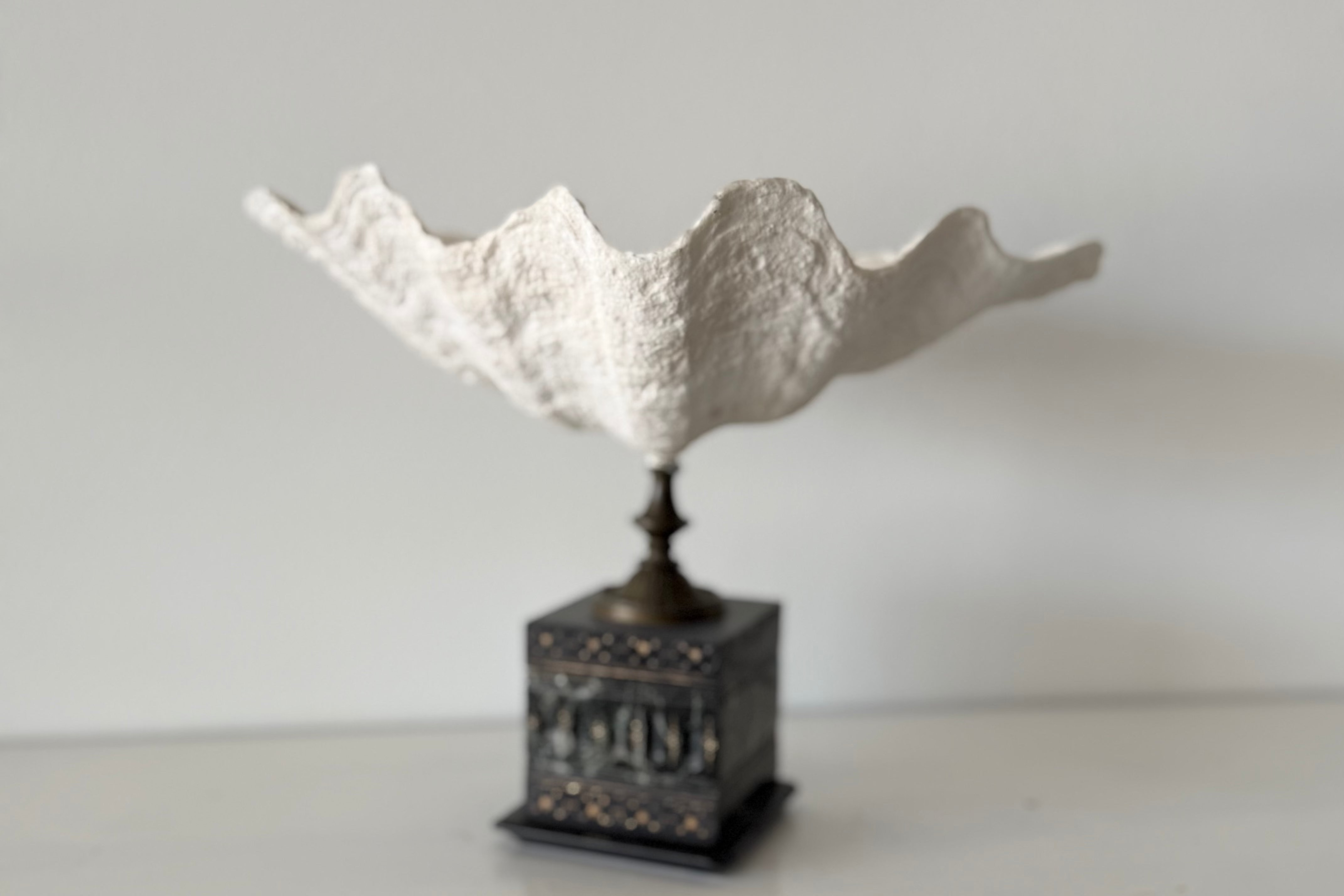Shell on Marble Pedestal