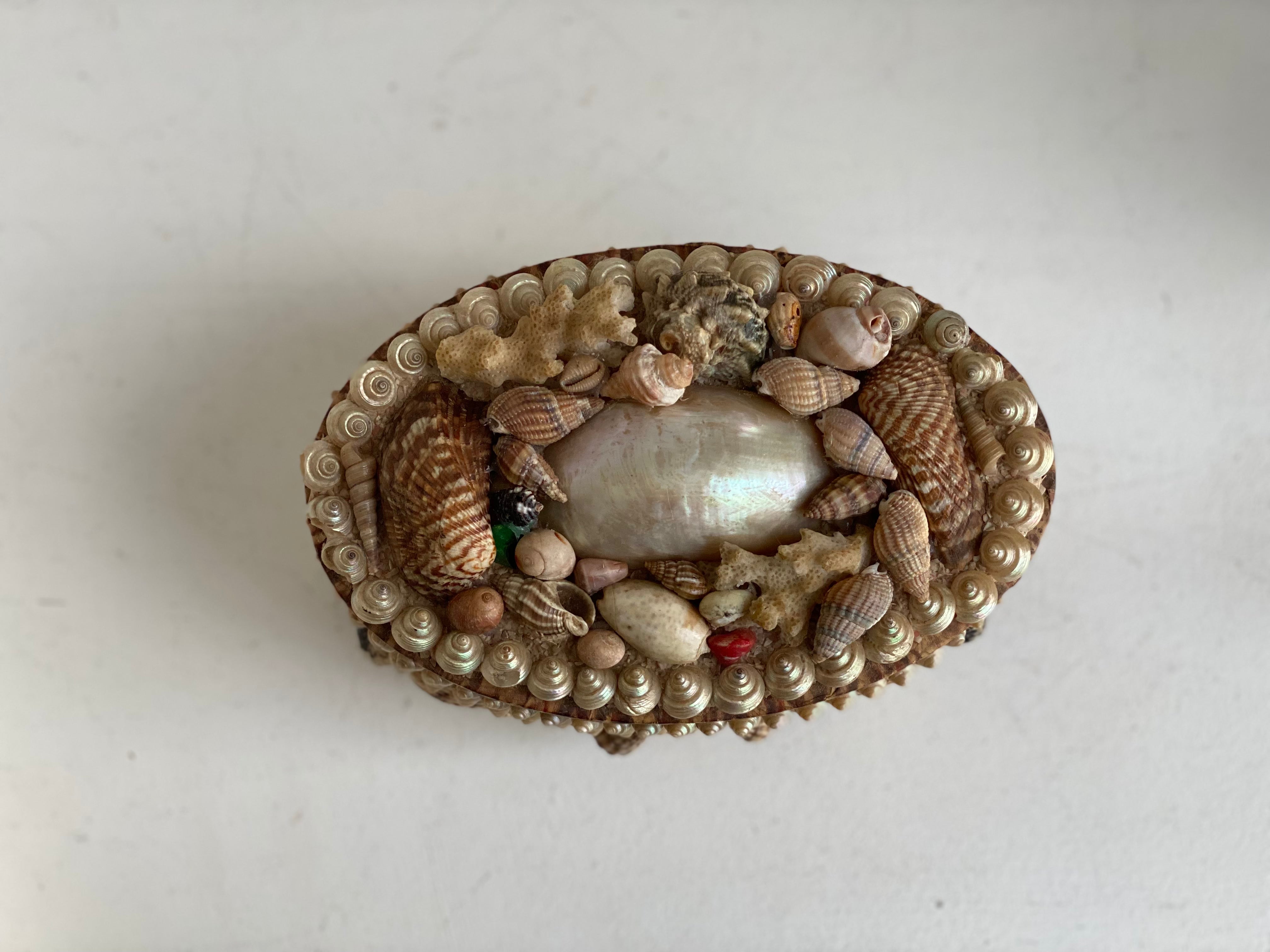 Antique Seashell Box - Grande