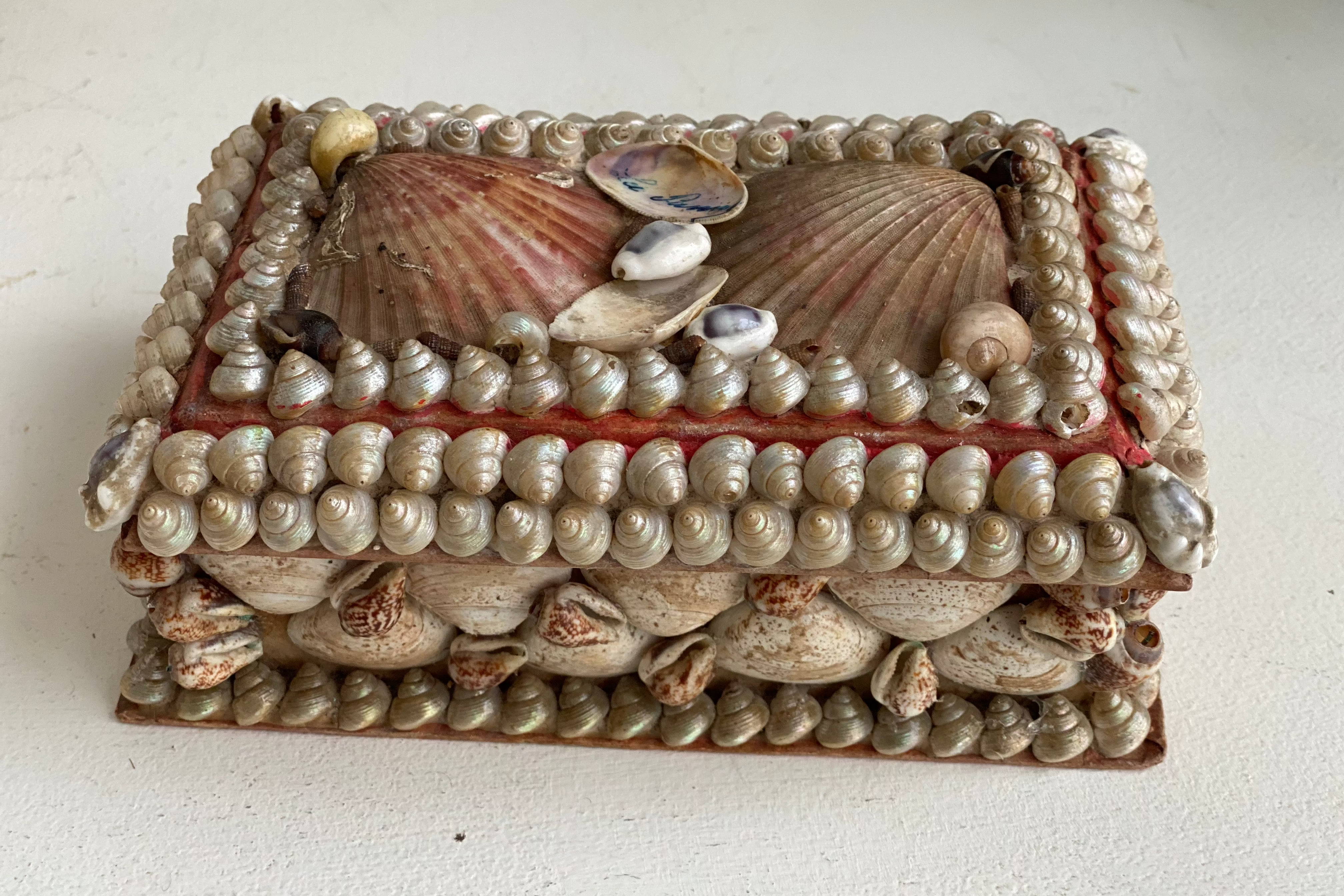 Antique Seashell Box - Moyen