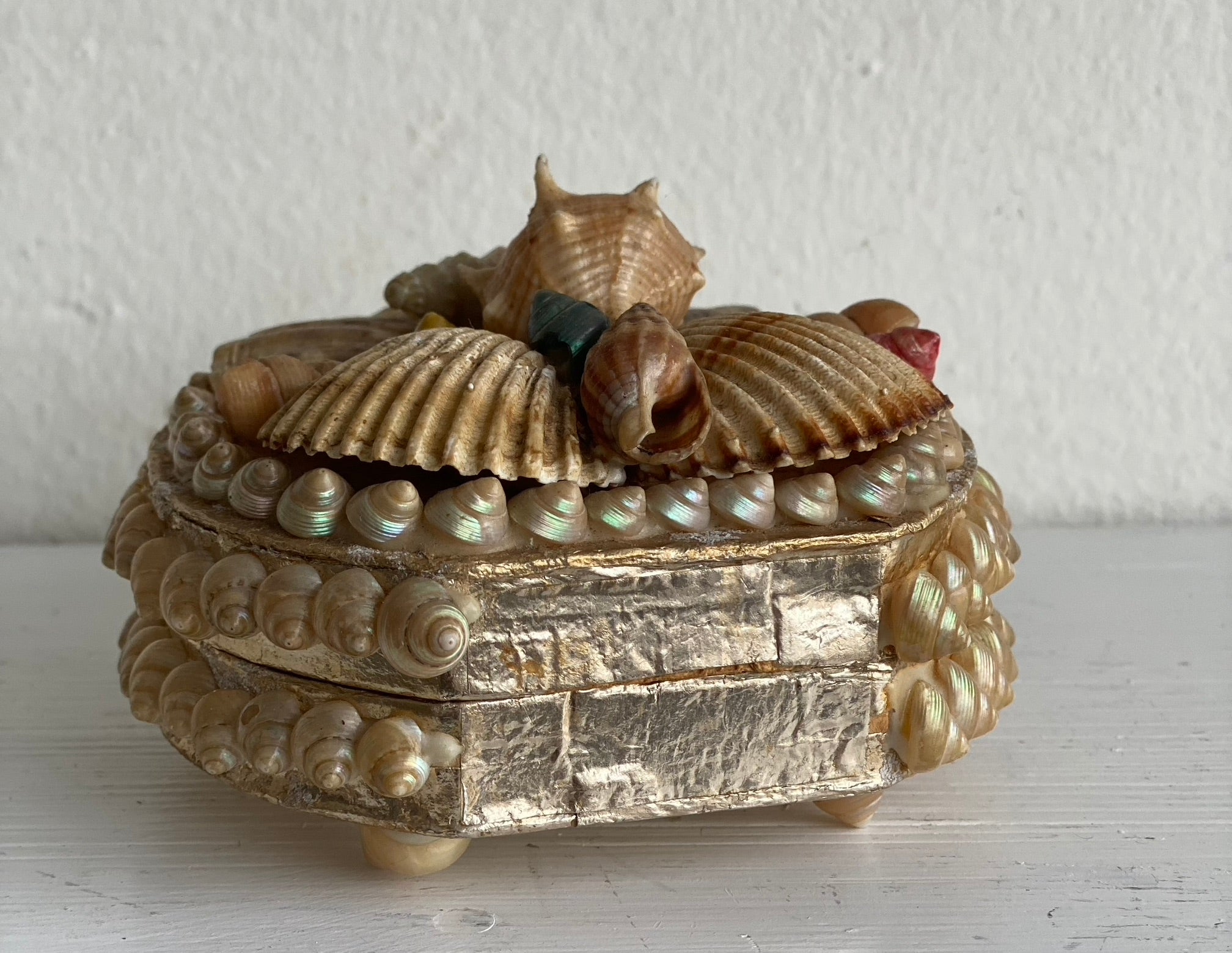 Antique Seashell Box