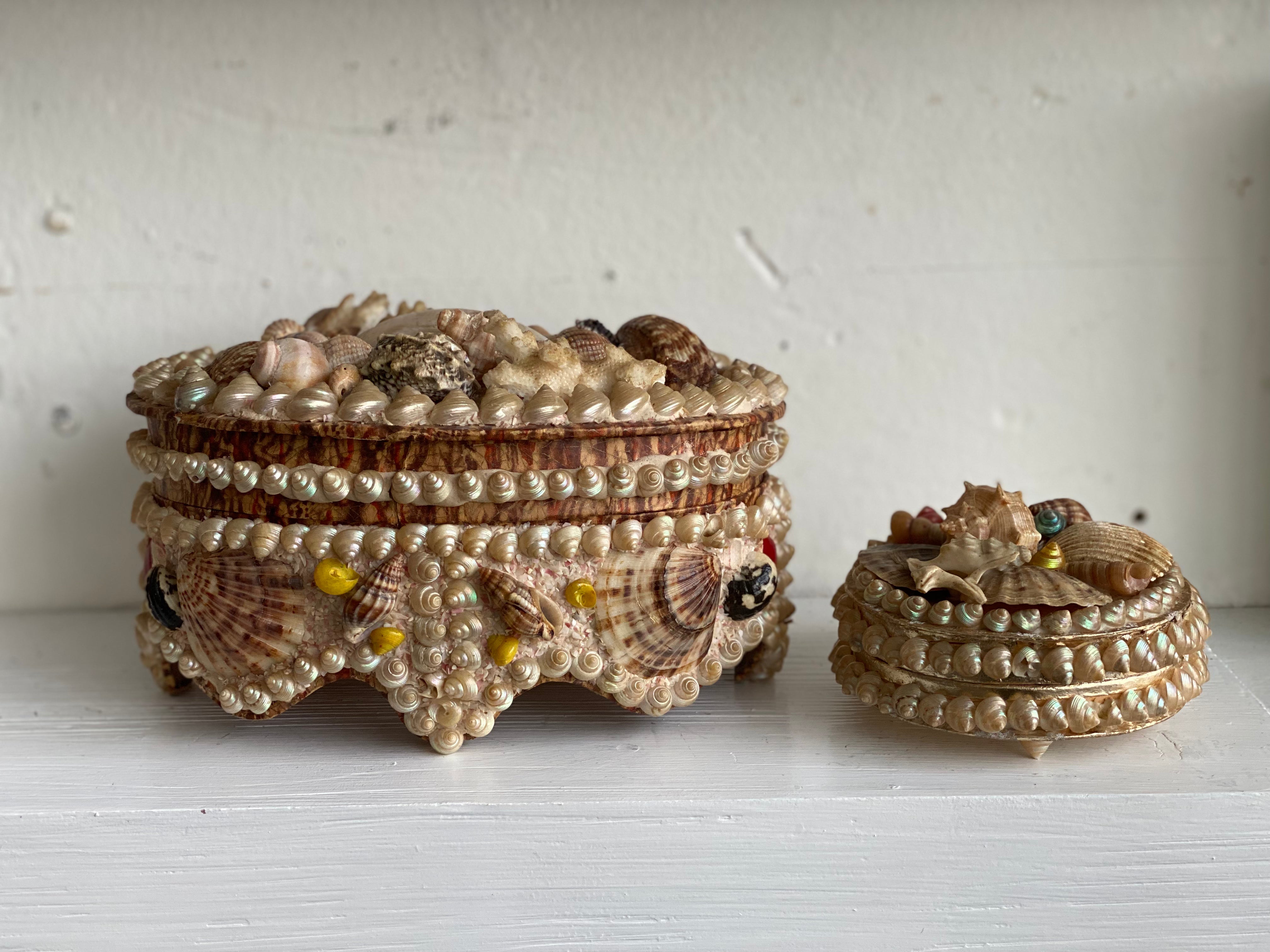 Antique Seashell Box - Grande