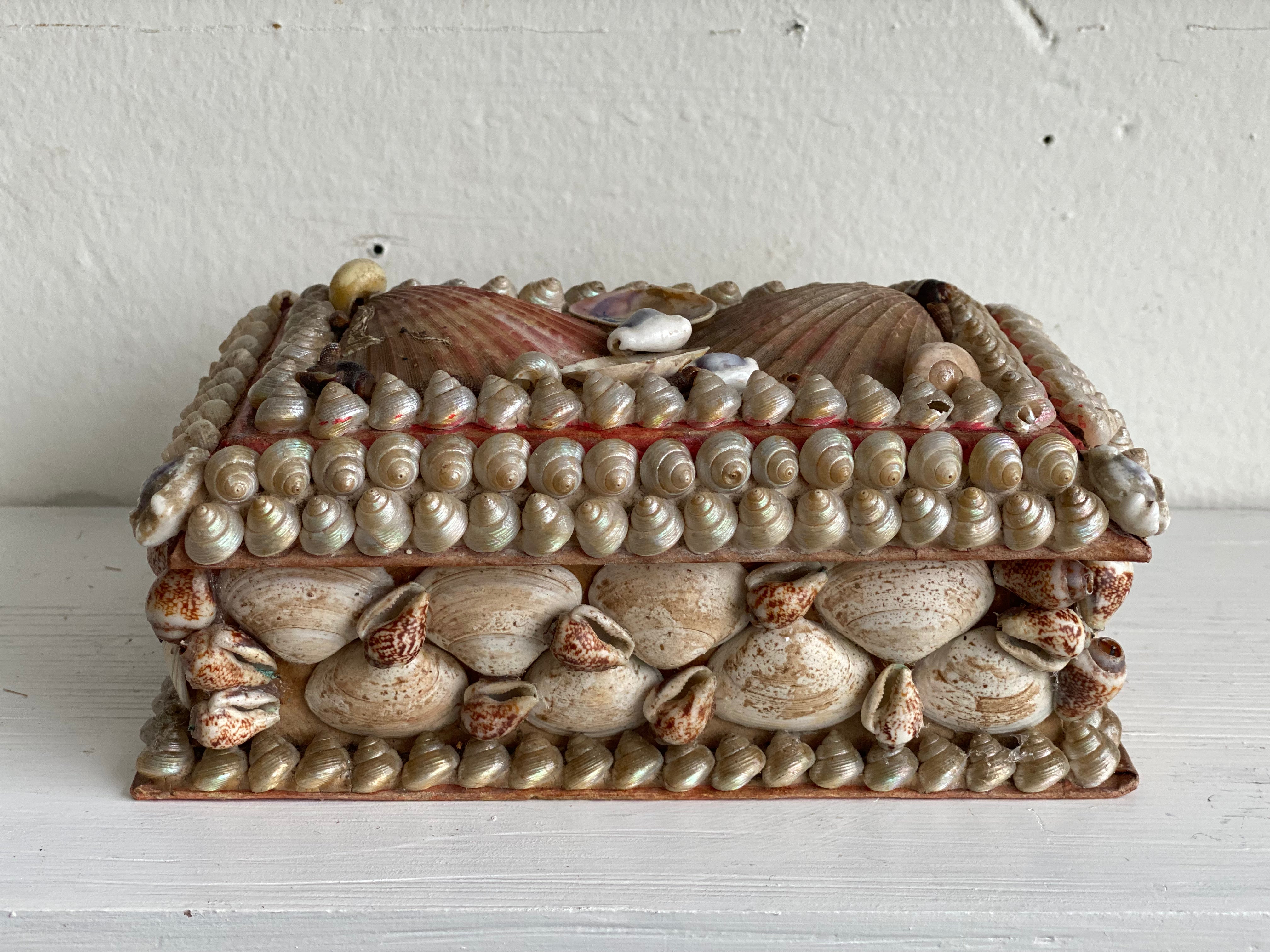Antique Seashell Box - Moyen