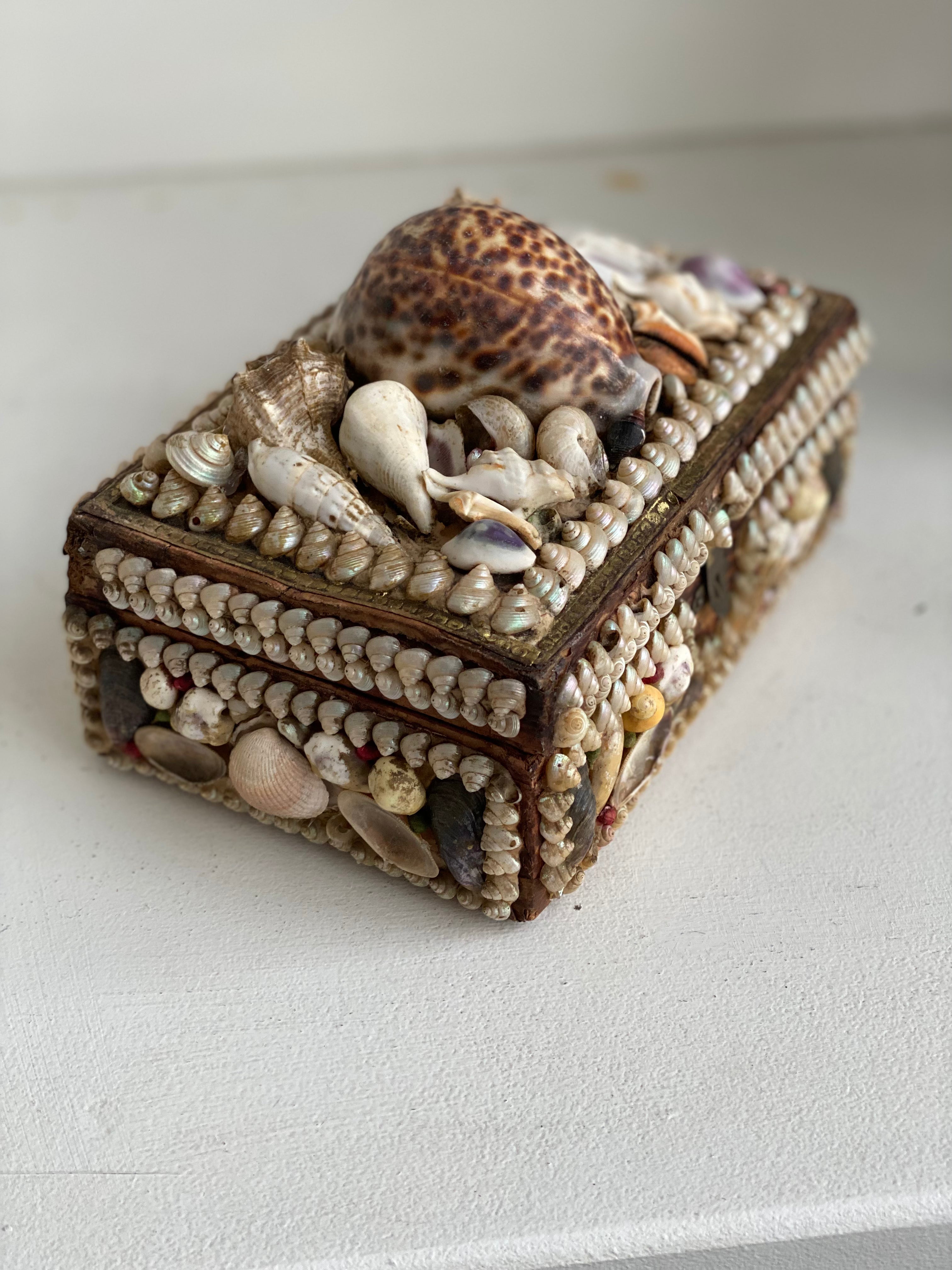 Antique Seashell Box - Grande