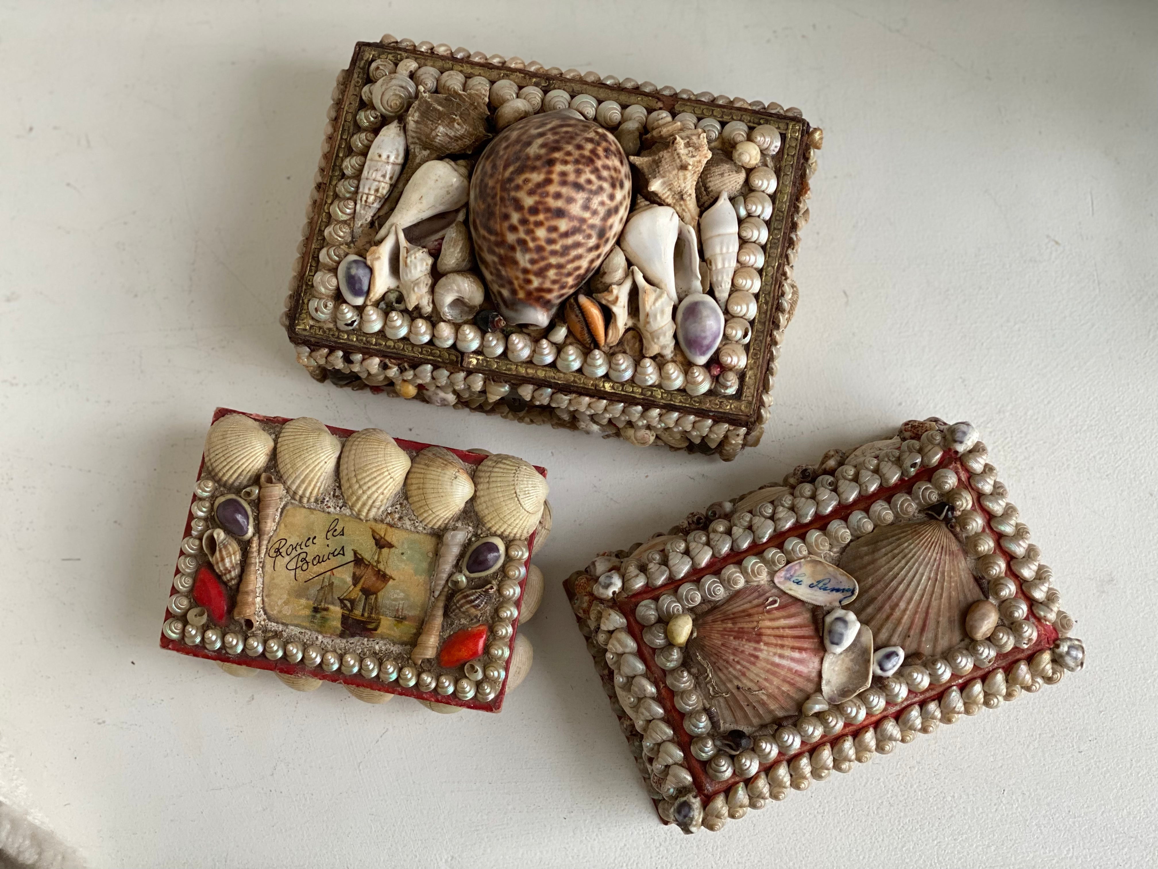 Antique Seashell Box - Moyen