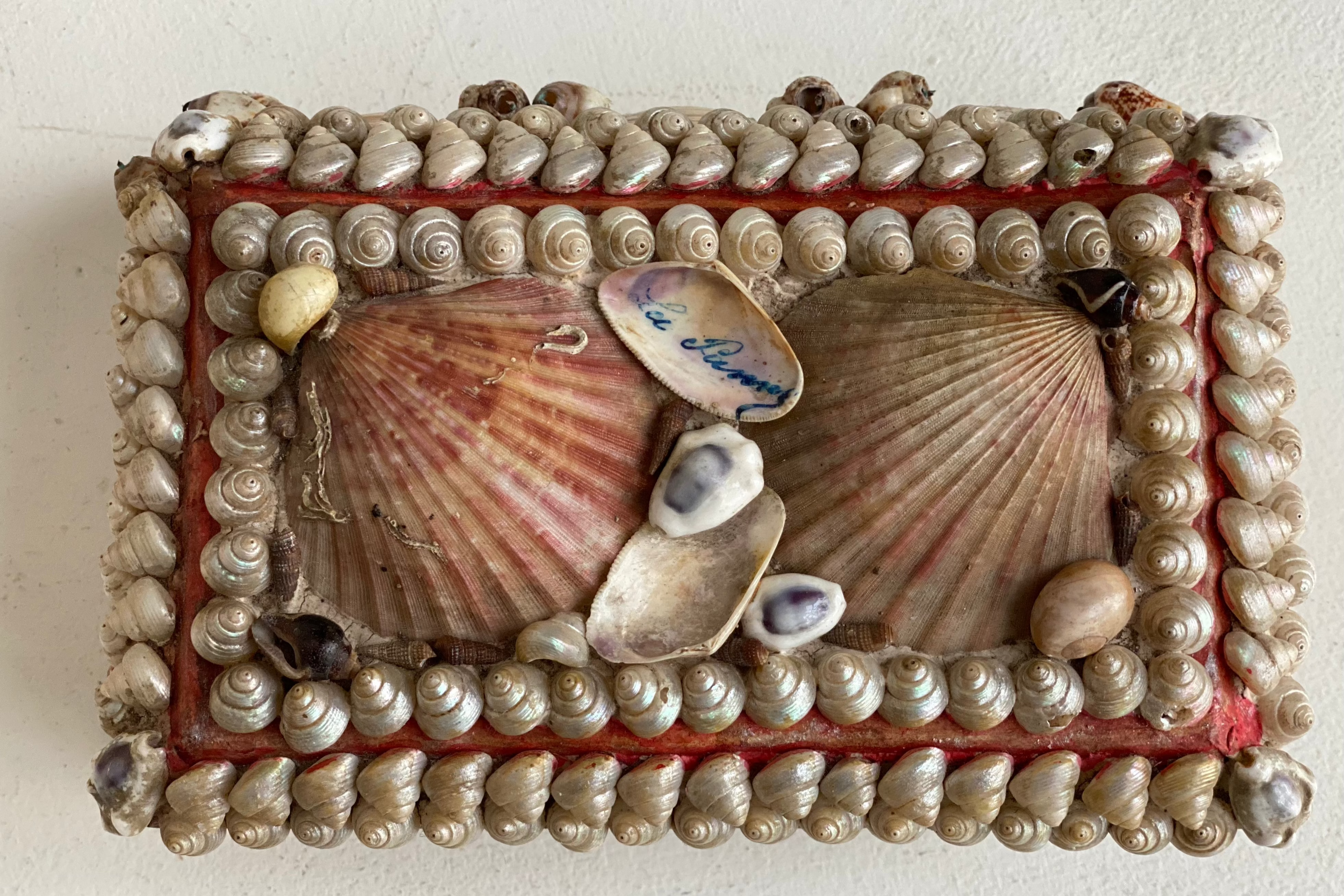 Antique Seashell Box - Moyen