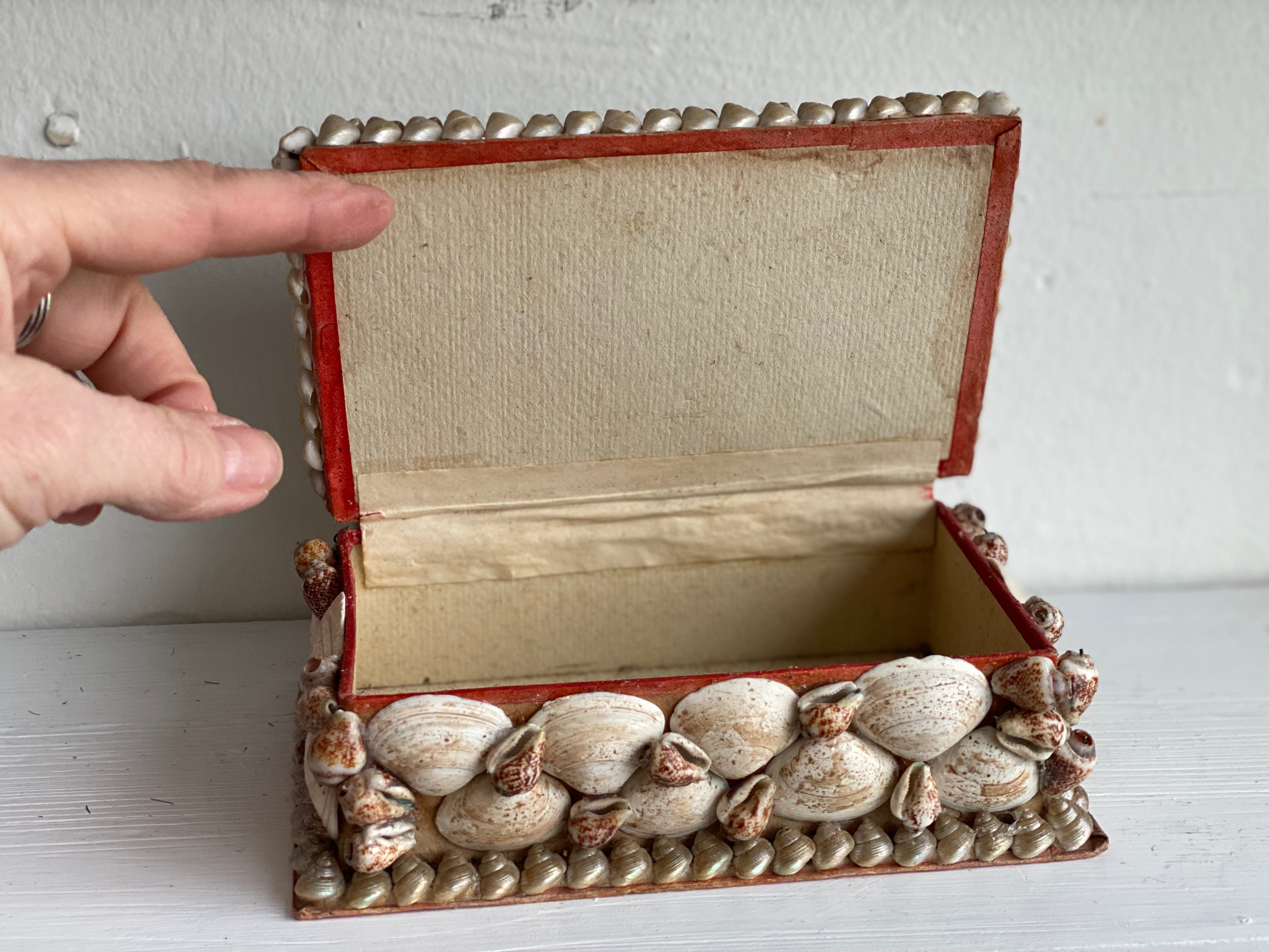 Antique Seashell Box - Moyen