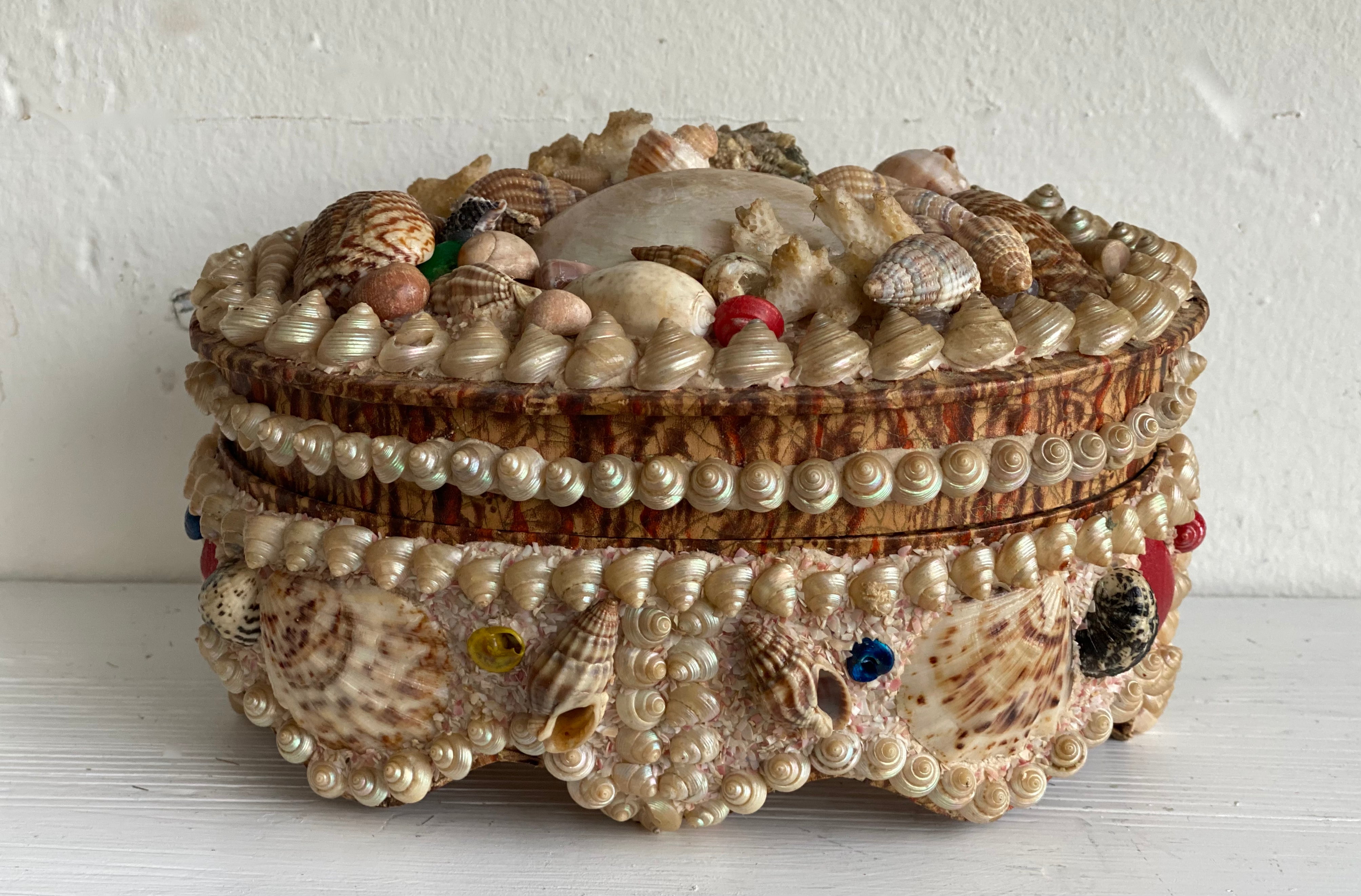 Antique Seashell Box - Grande