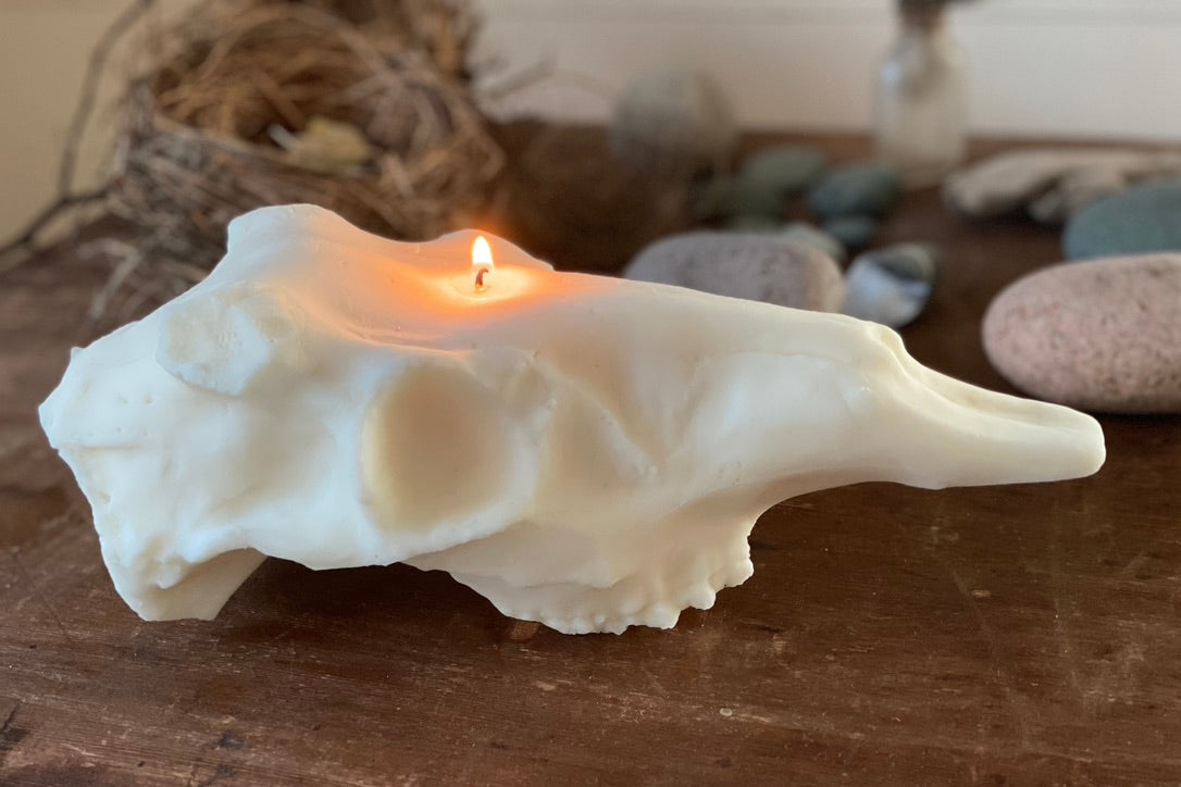 Deer Skull Candle