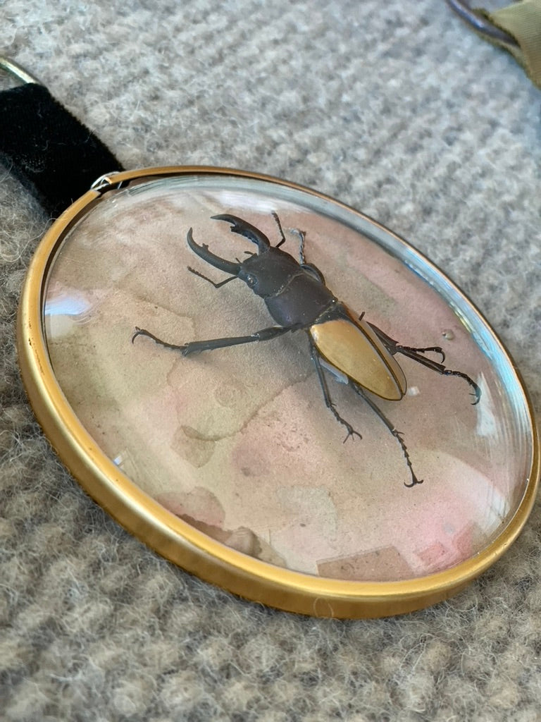 Antique Bug Art