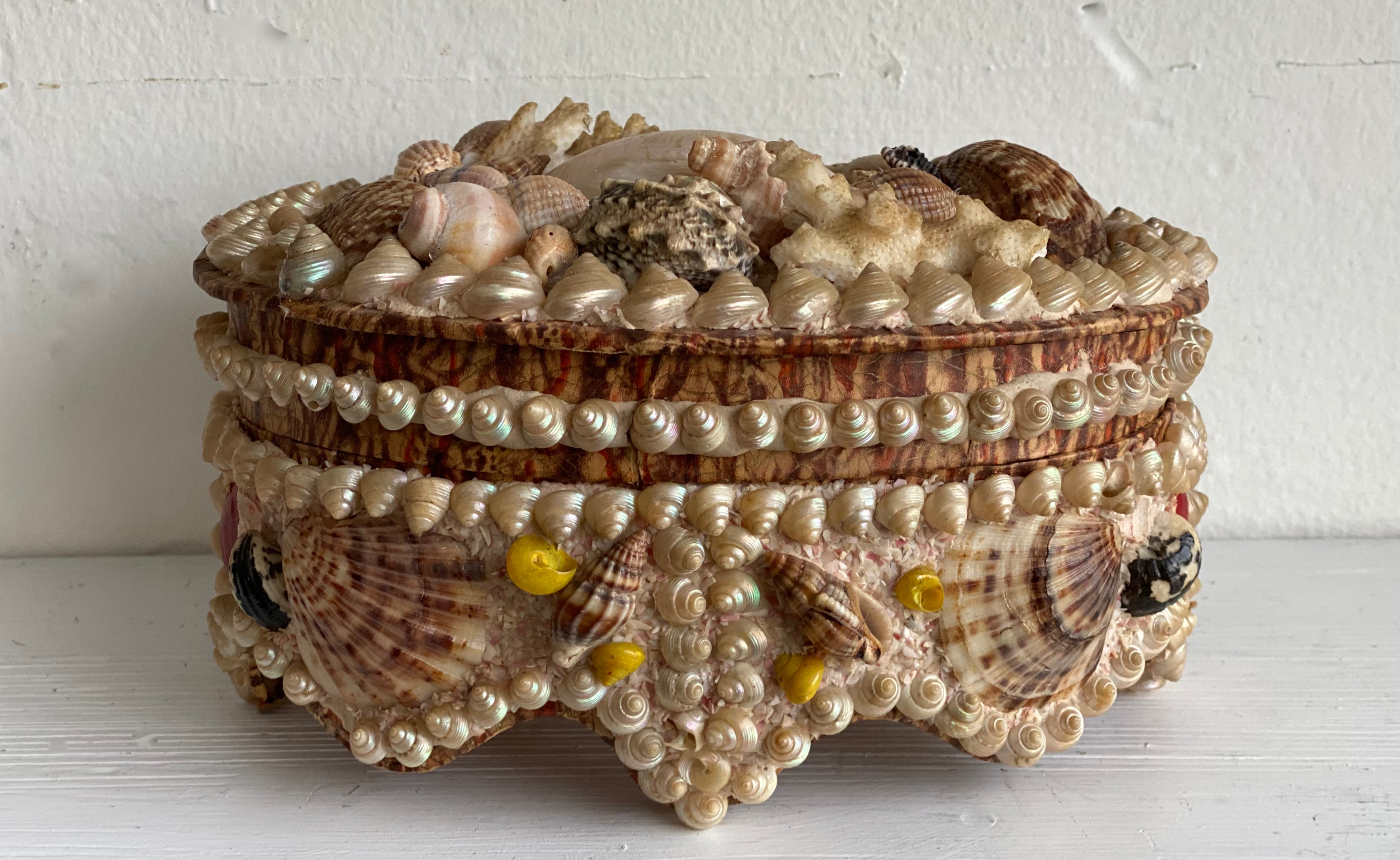 Antique Seashell Box - Grande