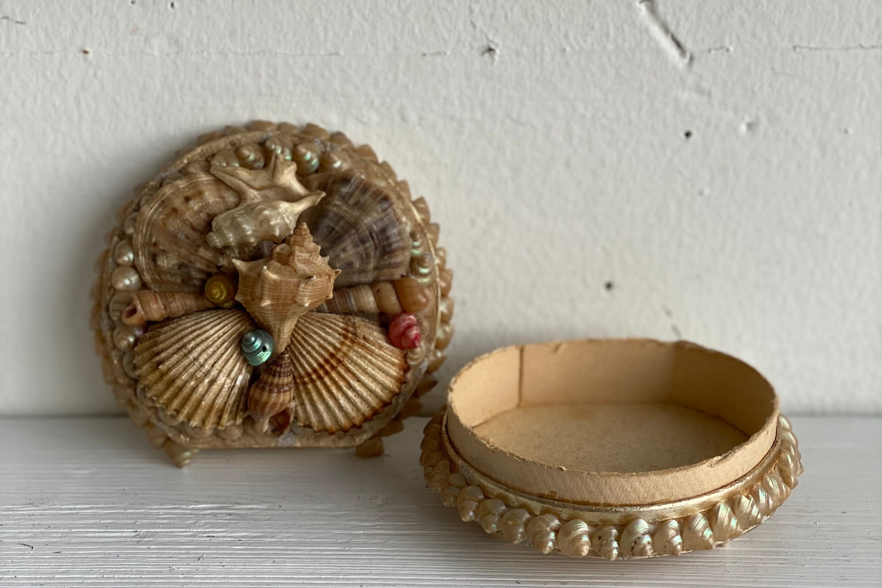 Antique Seashell Box