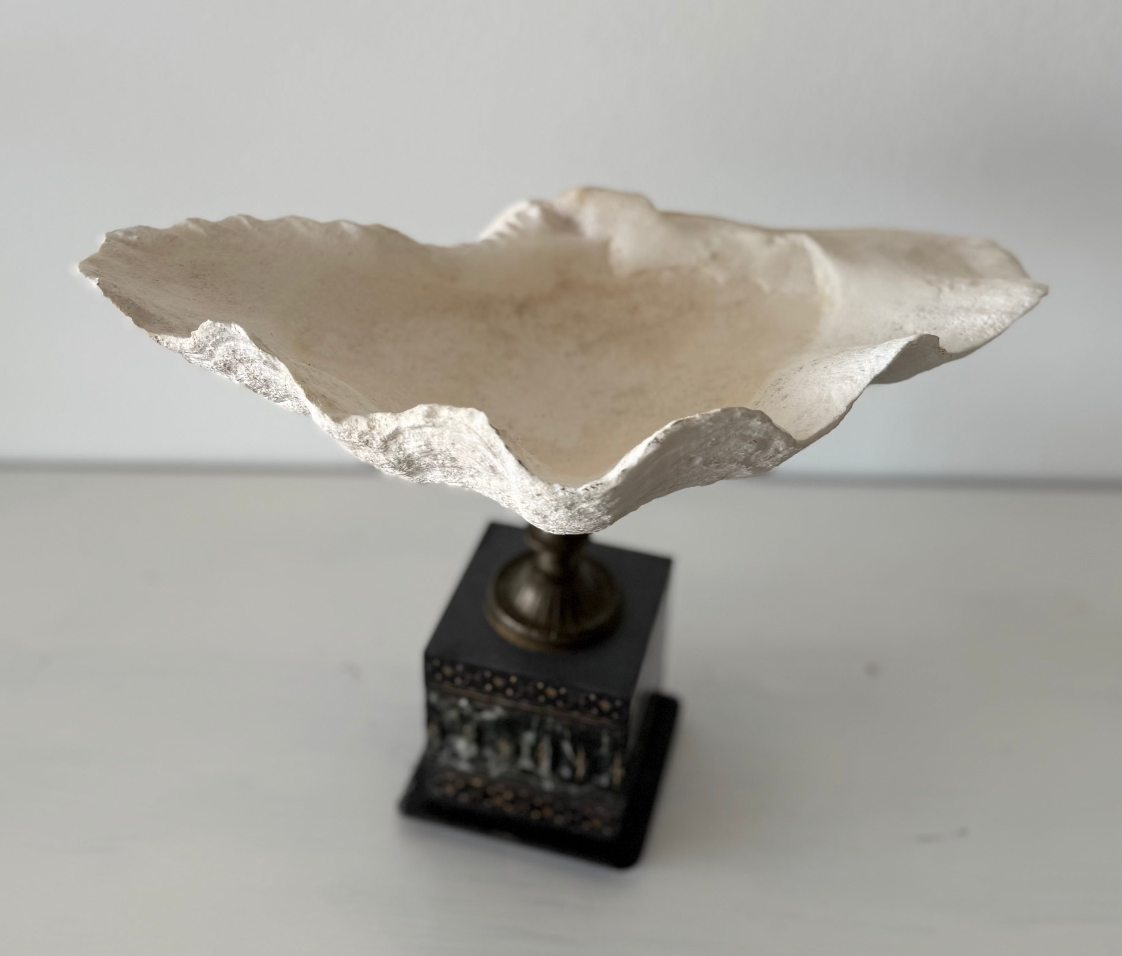 Shell on Marble Pedestal