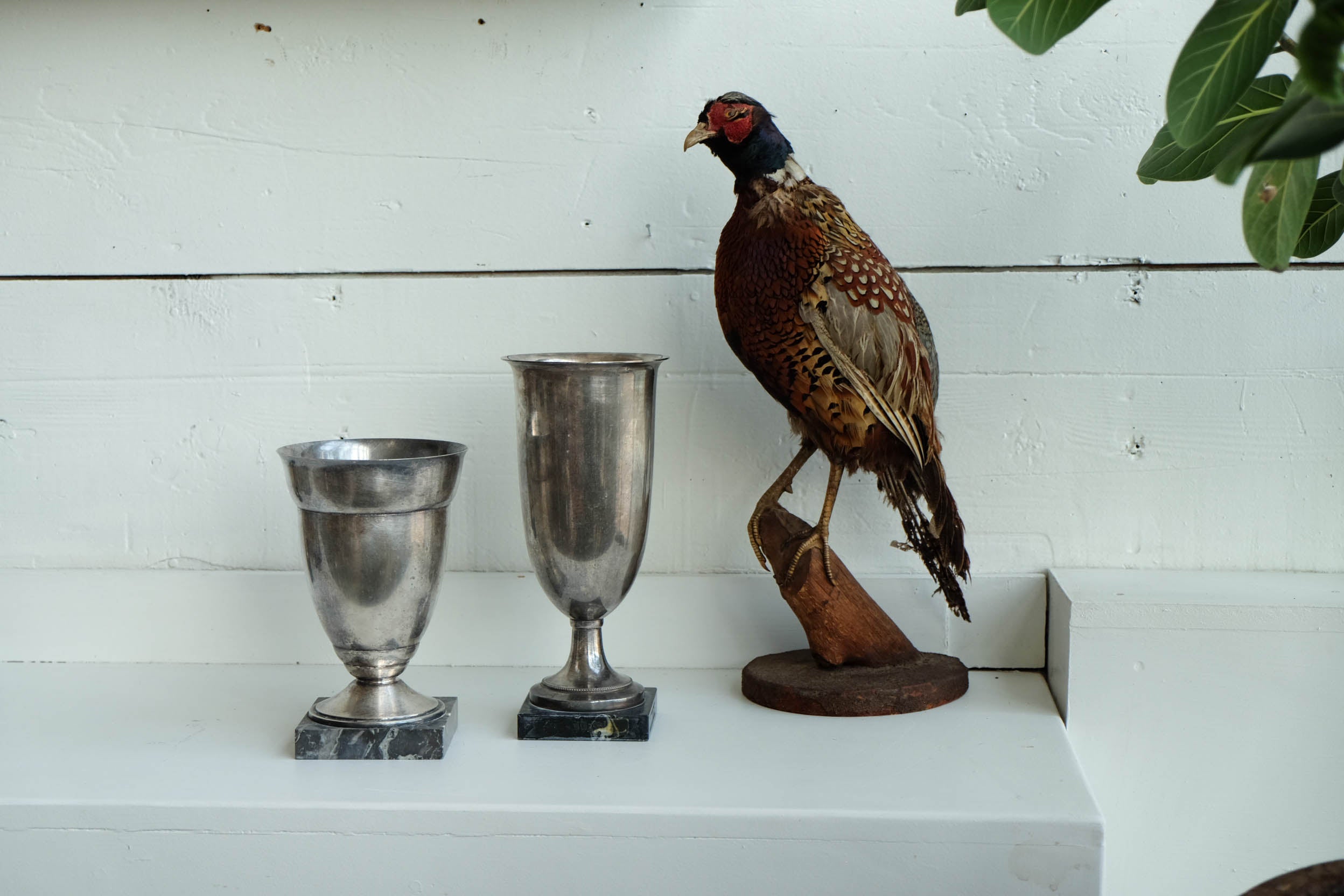 Loving Cup Vintage Trophy | Large