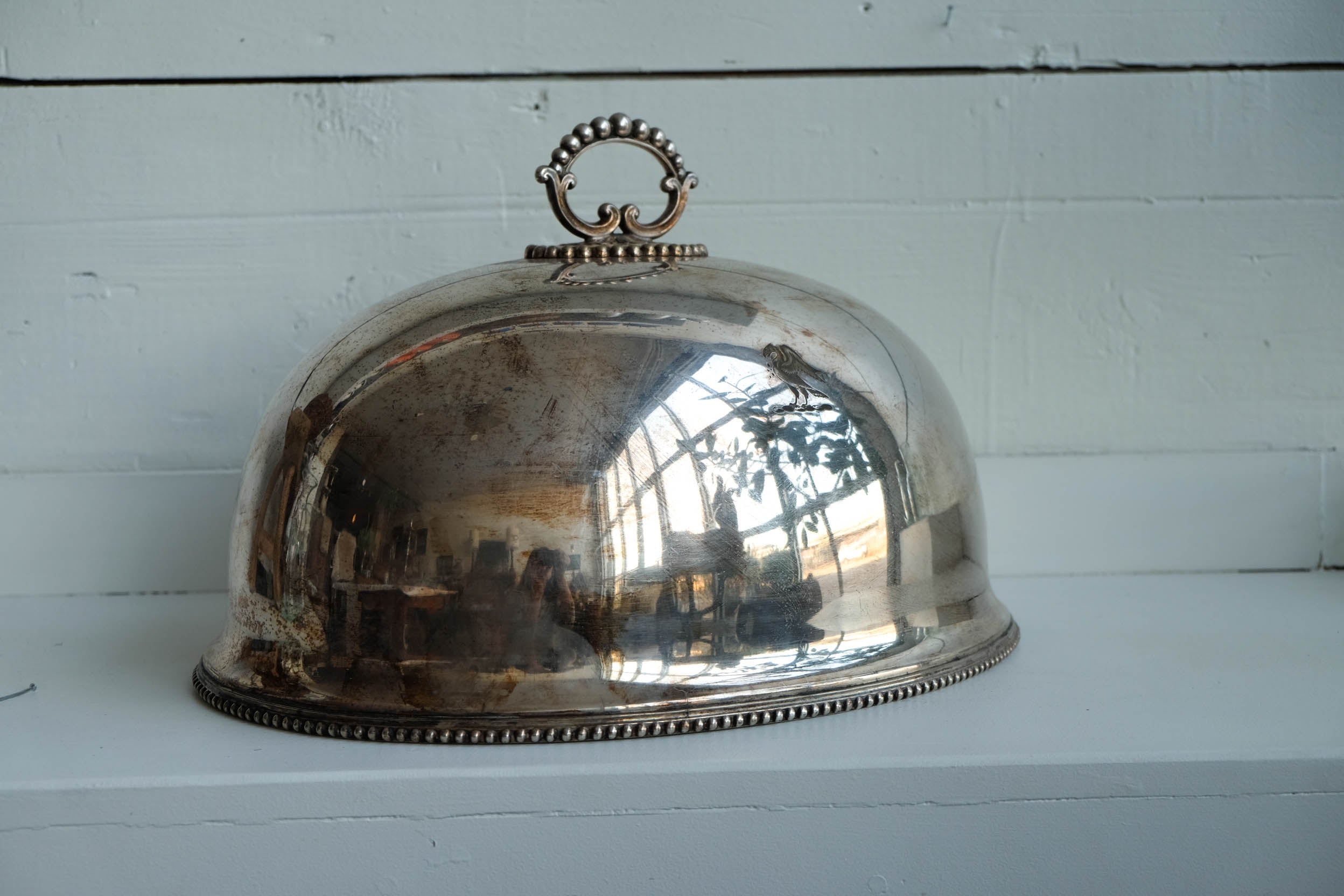 Hotel Silver Food Dome
