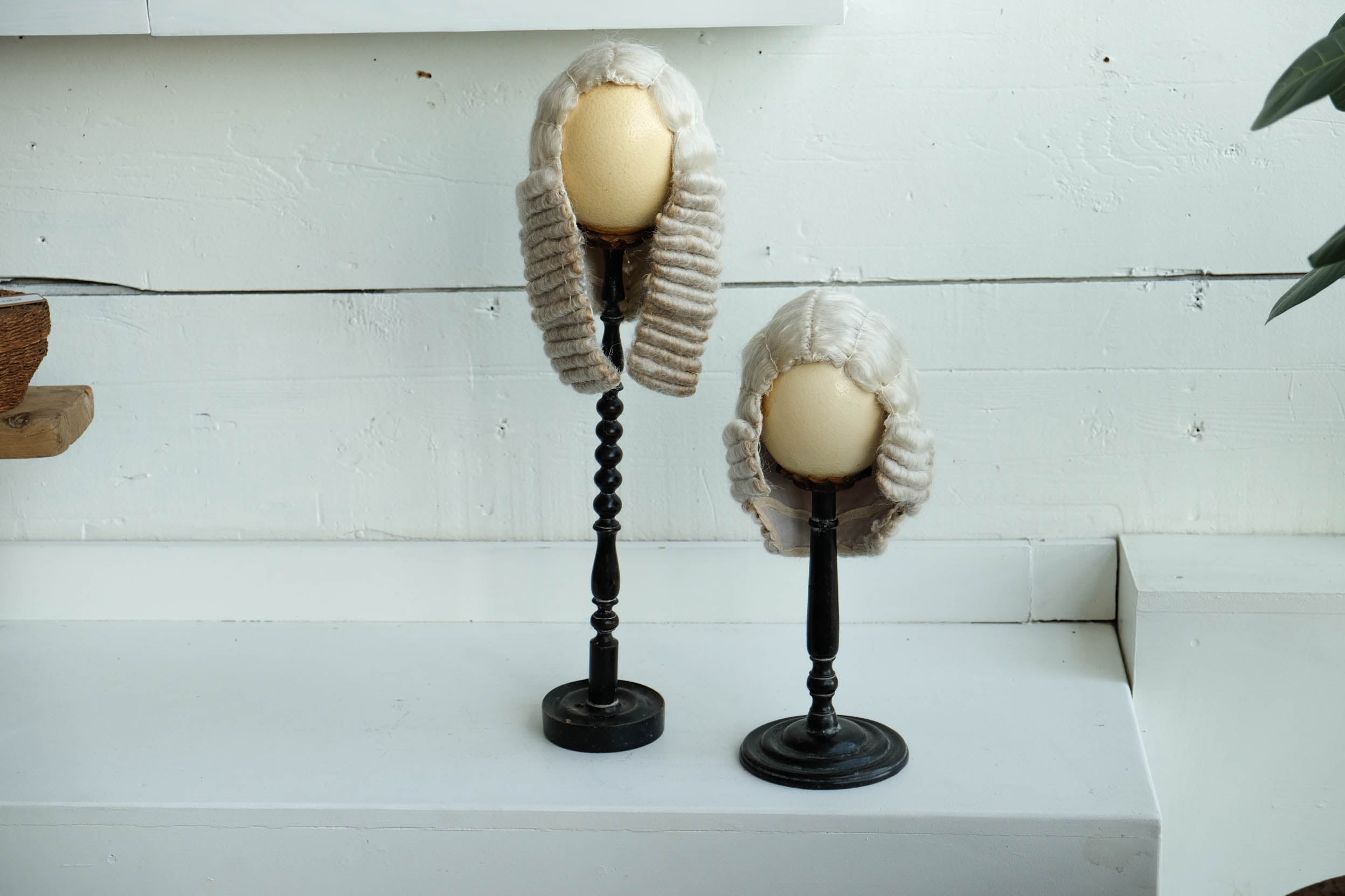 French Antique Ostrich Egg/Wig Display