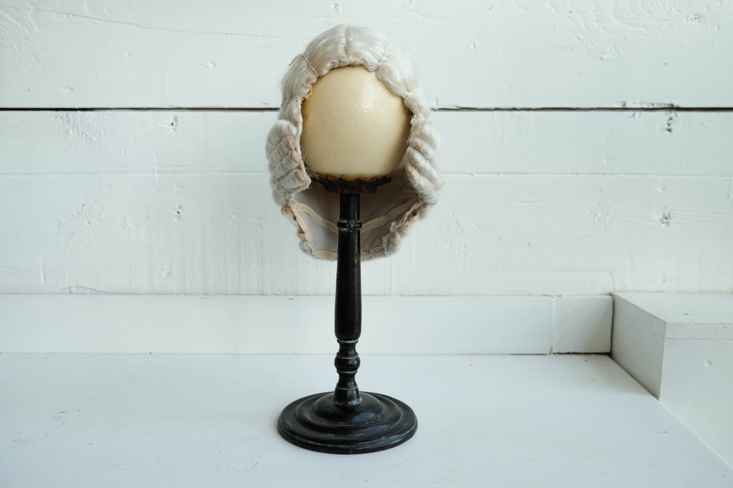 French Antique Ostrich Egg/Wig Display