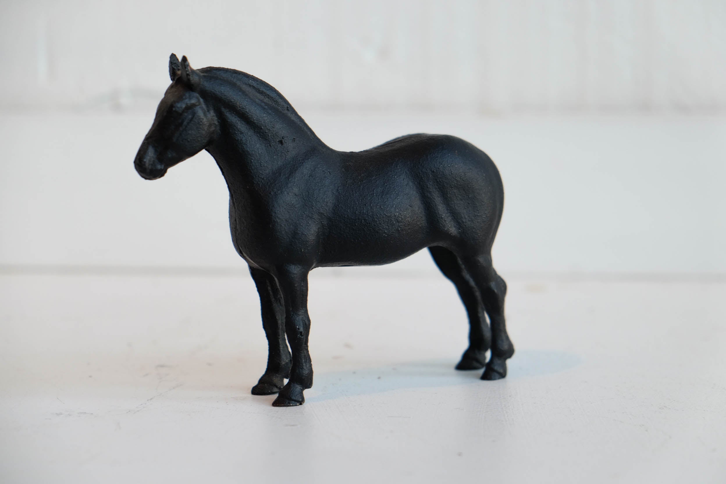 Black Stallion l #17