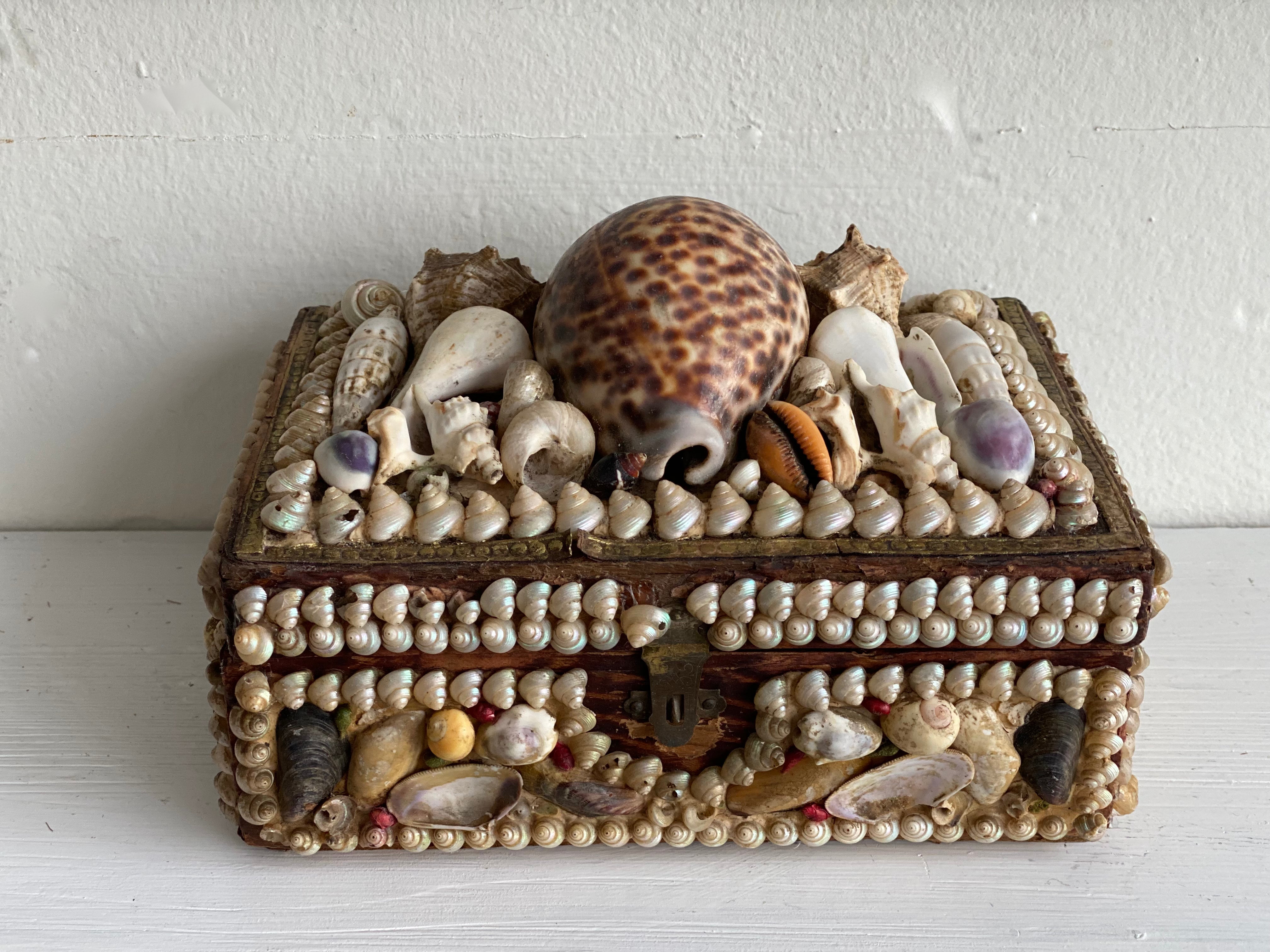 Antique Seashell Box - Grande